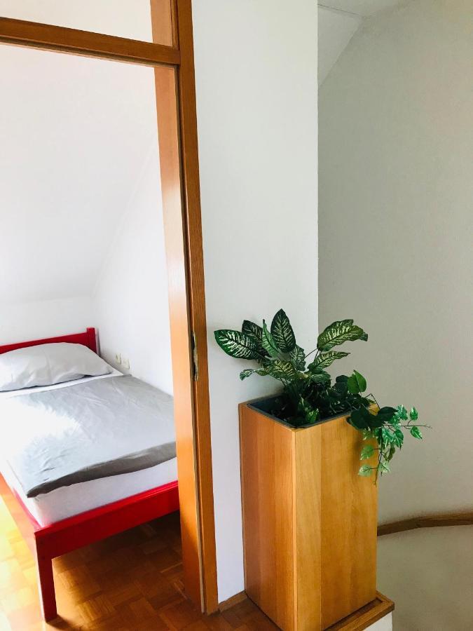 Extraordinary In Banovci Apartment *